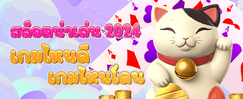 สิทธิพิเศษระดับ VIP promotion banner